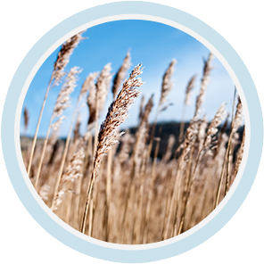 88858cc永利(Macau)有限公司官网